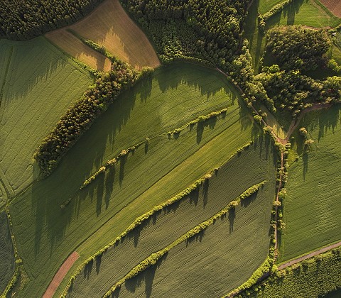 fotky/fotografie-benatky-nad-jizerou