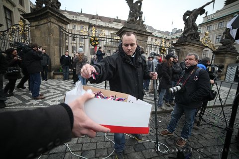 fotoreportaze-