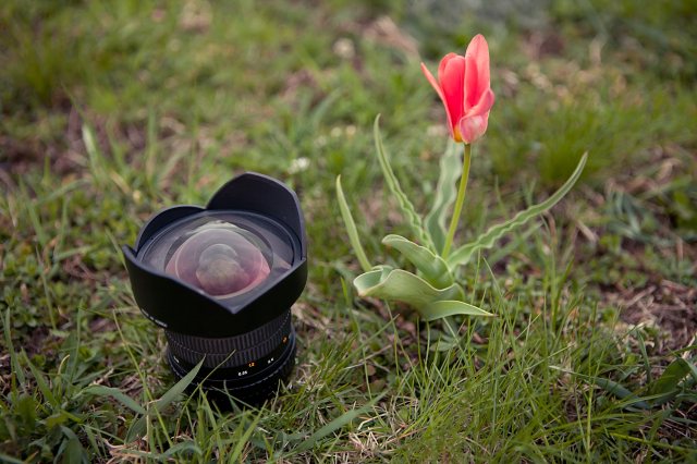profesionalni-fotografie-